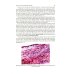 Дополнительное изображение книги «Pathological Anatomy = Патологическая анатомия: textbook. (книга на англ. яз)»