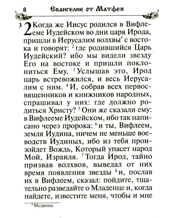 Святое Евангелие. (бордо)