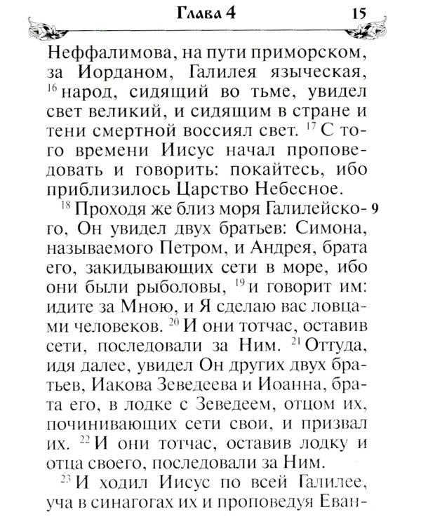 Святое Евангелие. (бордо)