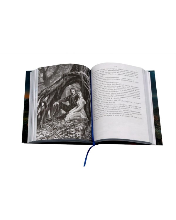 Дополнительное изображение книги «Страж»