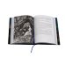 Дополнительное изображение книги «Страж»