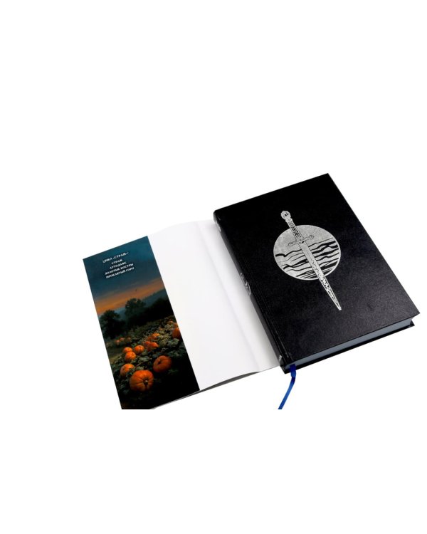 Дополнительное изображение книги «Страж»