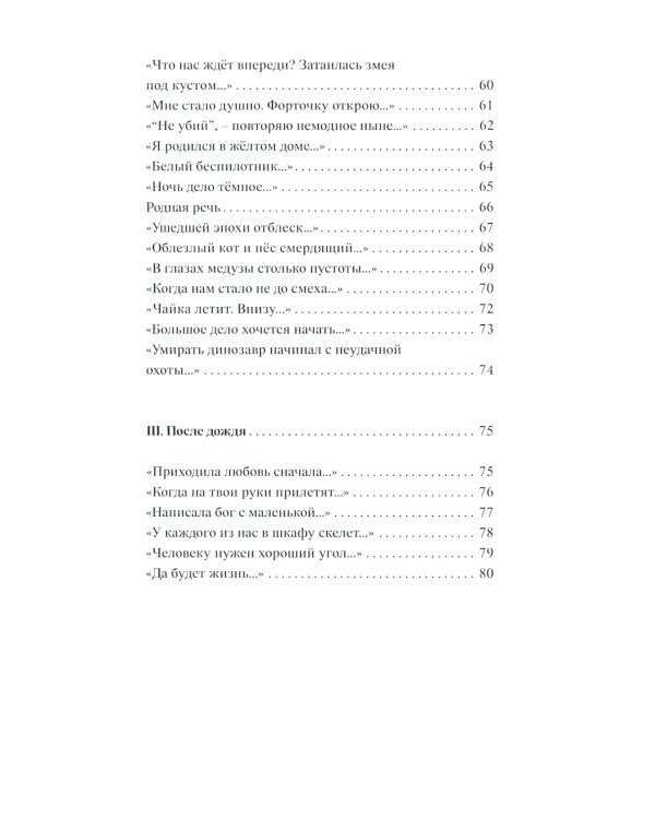 Хроника дождливого вечера: стихотворения