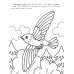 Самые быстрые: книжка-раскраска
