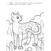 Самые быстрые: книжка-раскраска