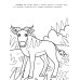Самые быстрые: книжка-раскраска