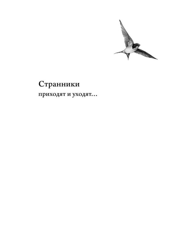 Ловец ласточек