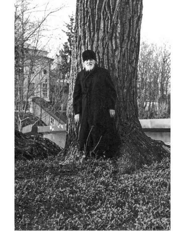 Радовать и радоваться. Практические советы архимандрита Иоанна (Крестьянкина). 5-е изд