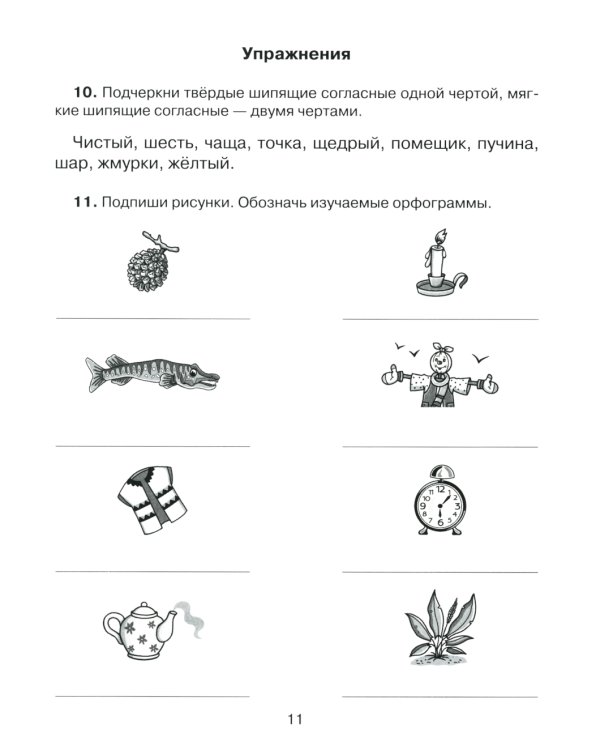 Русский язык 2  кл.: Все темы школьной программы с объяснениями и тренировочными заданиями