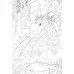 Таинственные драконы: книжка-раскраска