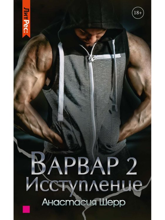 ЛитРес: Secrets Варвар. Исступление