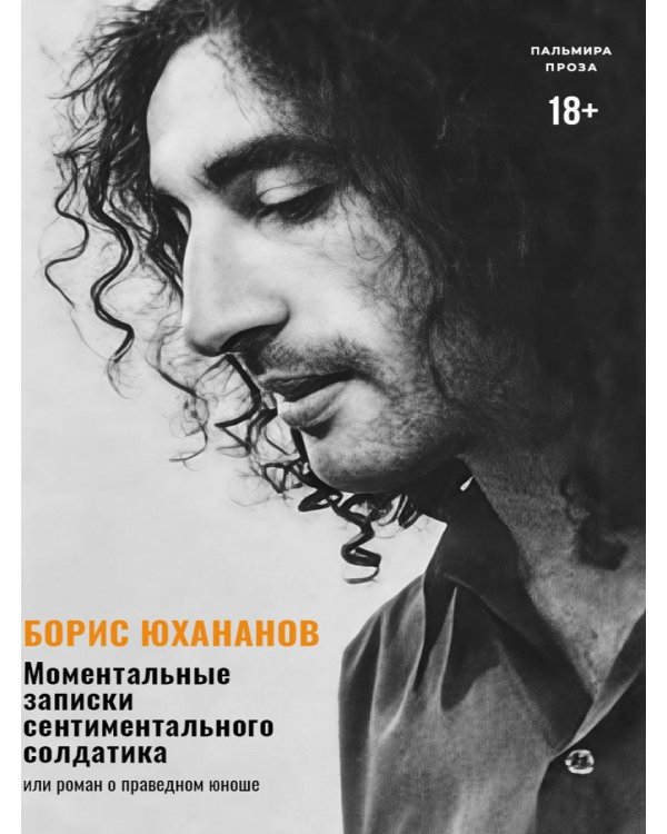 Моментальные записки сентиментального солдатика, или Роман о праведном юноше