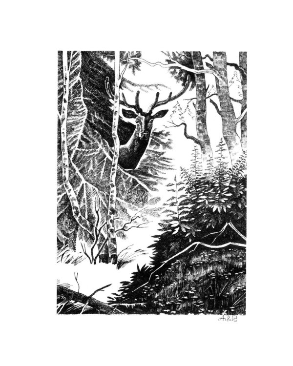 Таежная кровь: роман