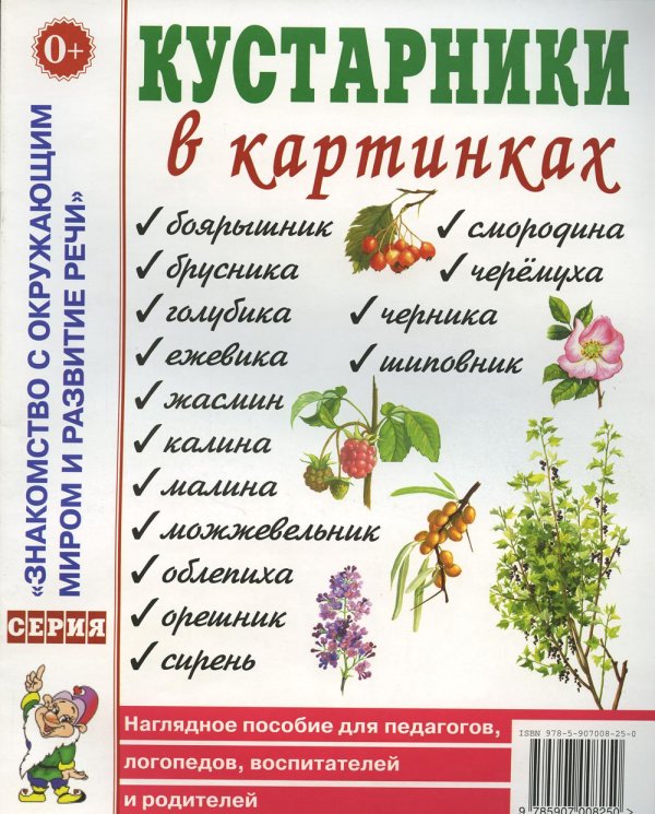 Кустарники в картинках Наглядное пособие для педагогов, логопедов, воспитателей и родителей