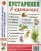 Кустарники в картинках Наглядное пособие для педагогов, логопедов, воспитателей и родителей
