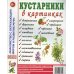 Кустарники в картинках Наглядное пособие для педагогов, логопедов, воспитателей и родителей