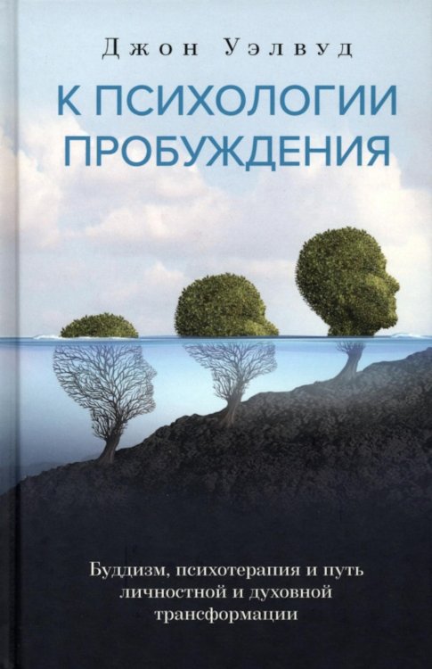 Самадхи К психологии пробуждения. Буддизм, психотерапия и путь личностной и духовной трансформации
