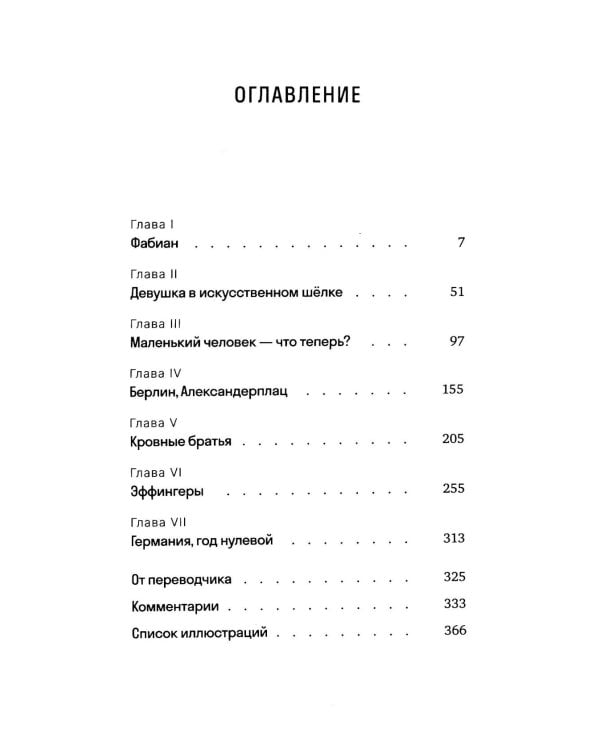 Эрни. Мнения одной моралистки: роман