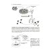 Гистология. Атлас для практических занятий: Учебное пособие Гистология. Атлас для практических занятий: Учебное пособие