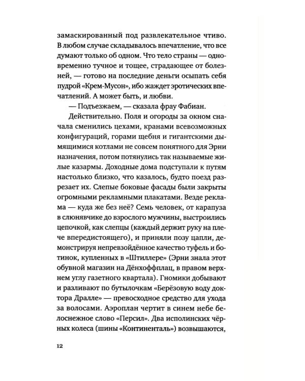 Эрни. Мнения одной моралистки: роман