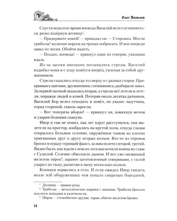 Ольговичи: роман