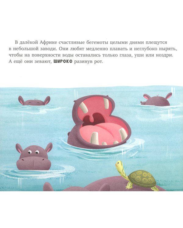 Бегемотик злится