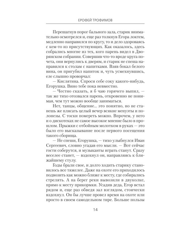 Толмач. Зигзаги судьбы: роман