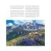 Дополнительное изображение книги «Сердце Кавказа. Жизнь, культура и традиции Северного Кавказа»