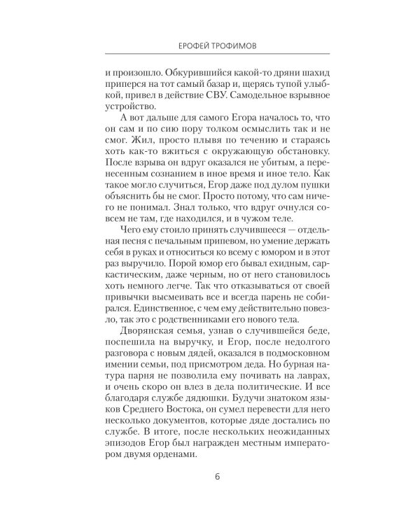 Толмач. Зигзаги судьбы: роман