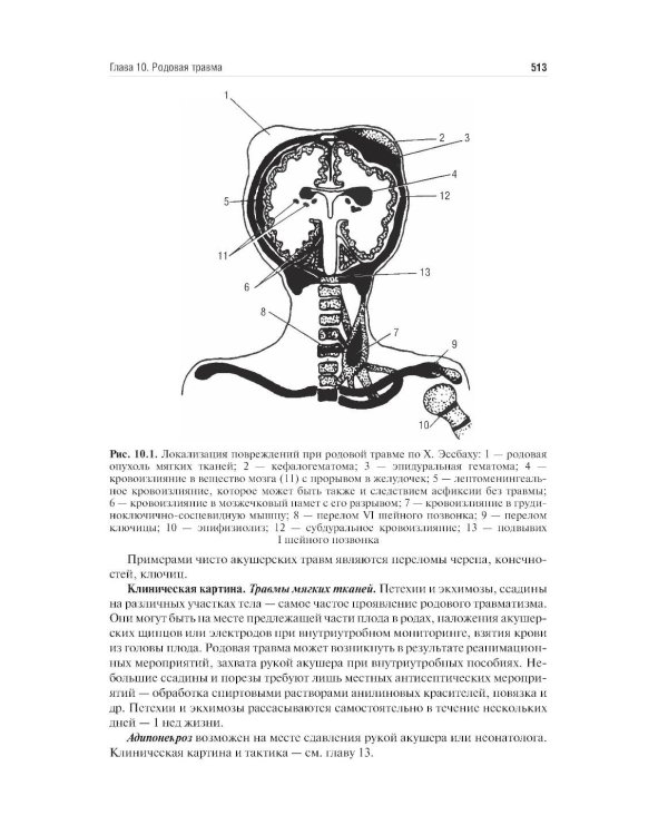 Неонатология: учебное пособие: в 2 т. Т.1. 7-е изд., перераб. и доп