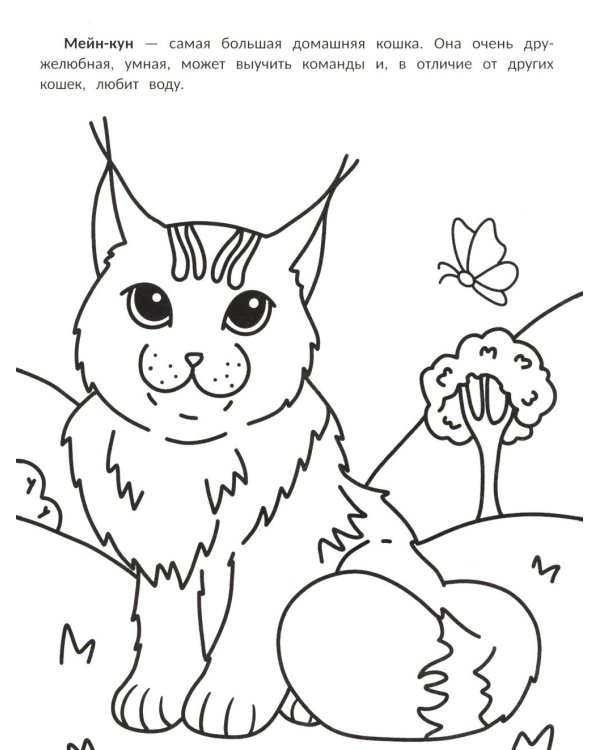 Самые мурчащие: книжка-раскраска