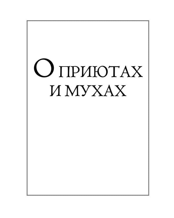 О приютах и мухах