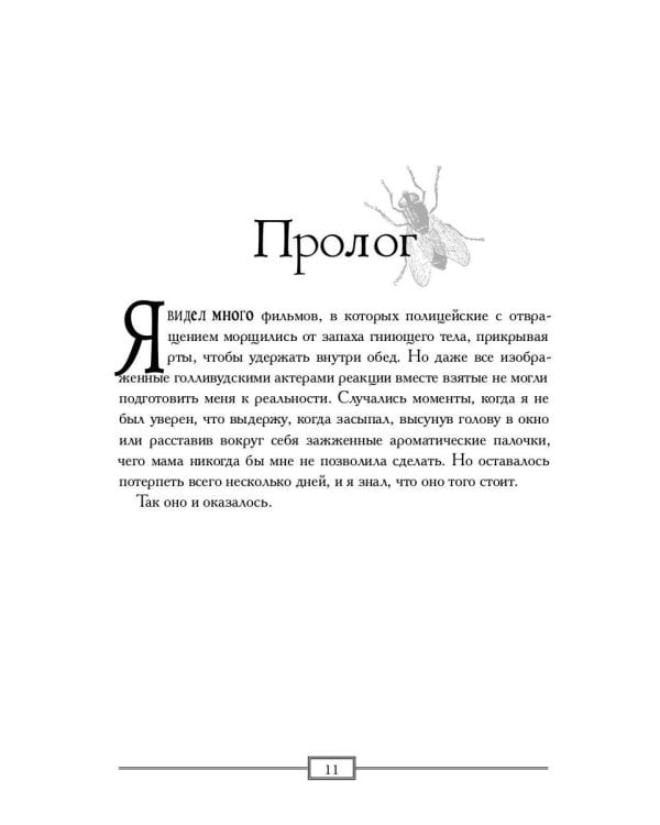 О приютах и мухах