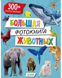 Большая фотокнига животных