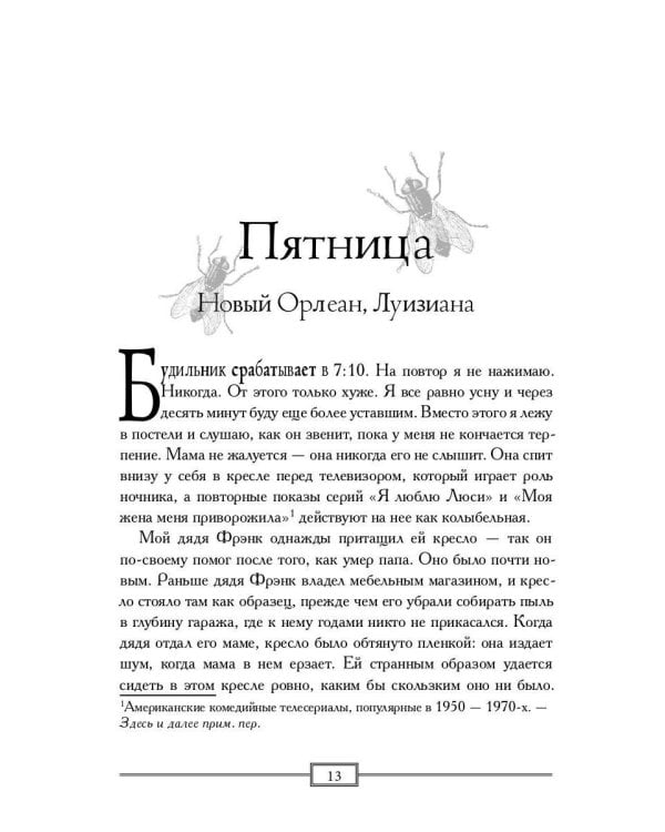 О приютах и мухах