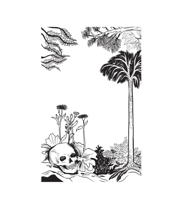 Ботаника антрополога. Как растения создали человека