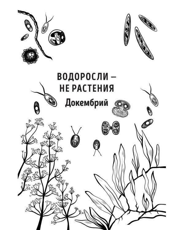 Ботаника антрополога. Как растения создали человека