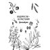 Ботаника антрополога. Как растения создали человека