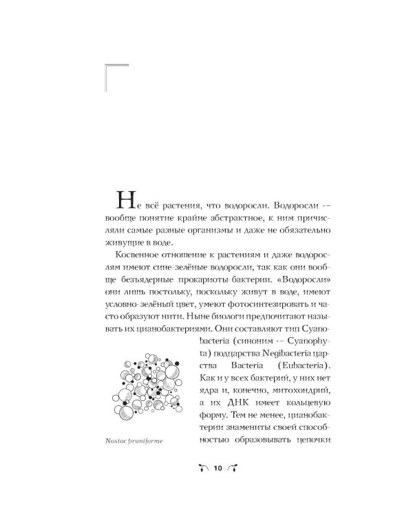 Ботаника антрополога. Как растения создали человека