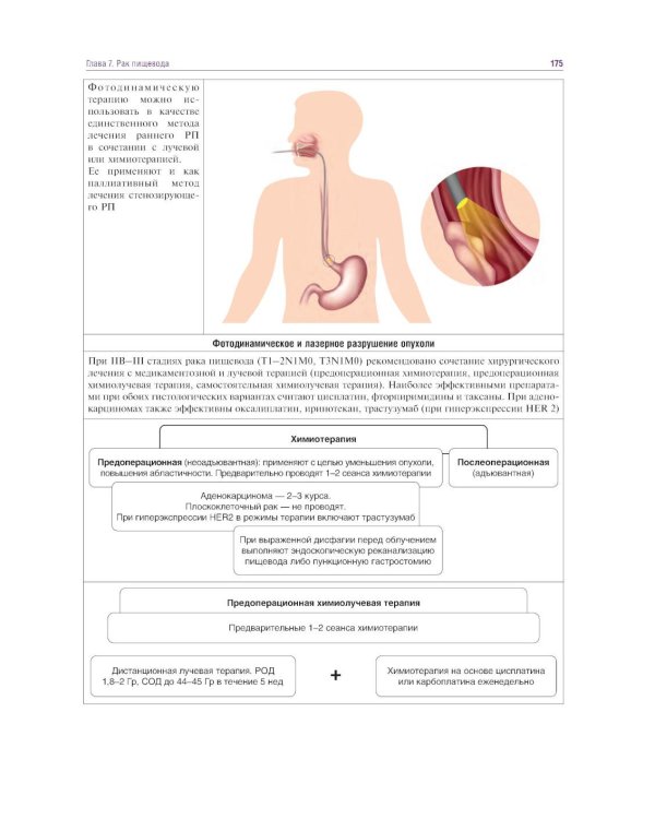 Курс онкологии в рисунках, таблицах и схемах: учебное пособие