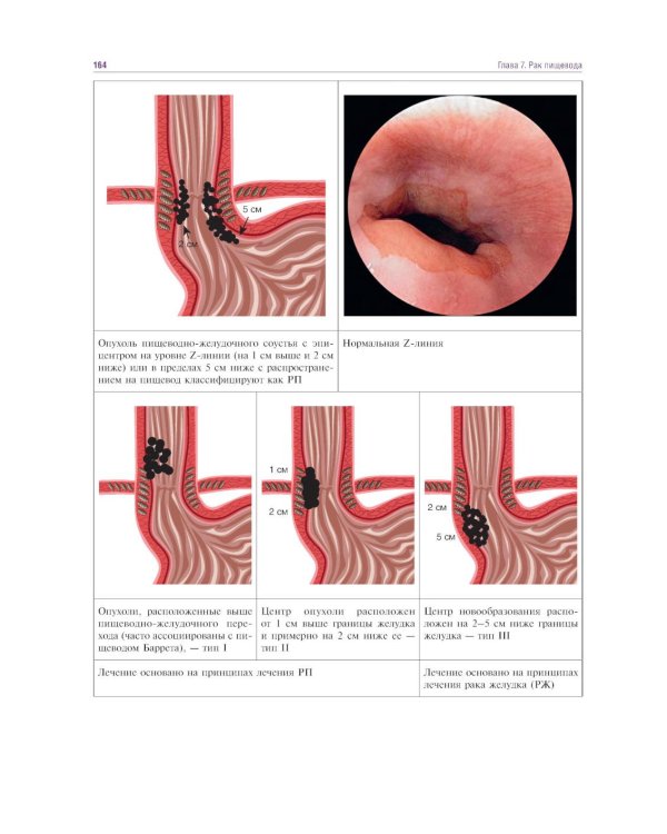 Курс онкологии в рисунках, таблицах и схемах: учебное пособие