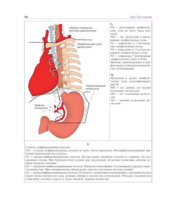 Курс онкологии в рисунках, таблицах и схемах: учебное пособие