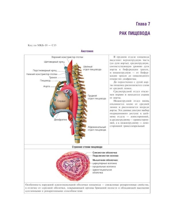 Курс онкологии в рисунках, таблицах и схемах: учебное пособие