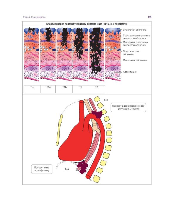 Курс онкологии в рисунках, таблицах и схемах: учебное пособие
