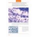 Практическая цитопатология. Интерпретация результатов ТИАБ на основе распознавания паттернов. В 2 т. Т. 2