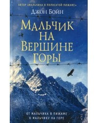 Мальчик на вершине горы: роман