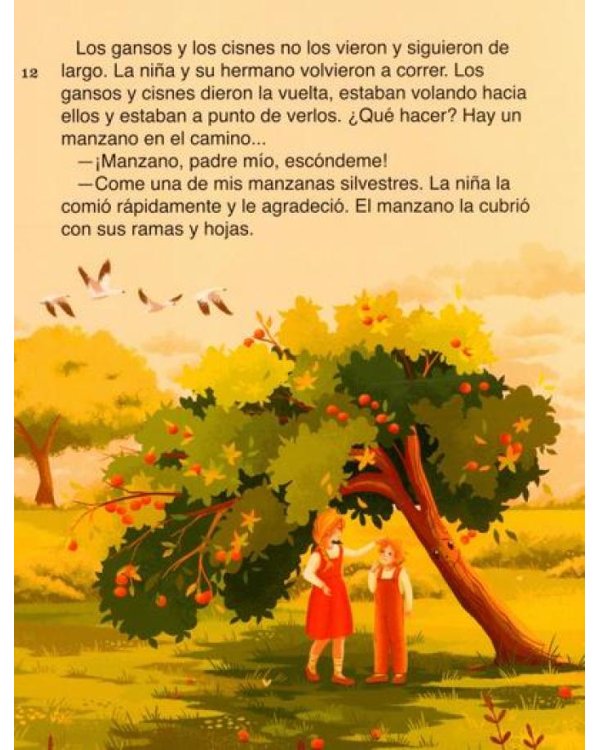 Русские народные сказки для изучающих испанский язык. Учебные материалы. Уровень А2-В1 (Гуси-Лебеди, Маша и медведь, Каша из топора)(кн.на испан.яз.)