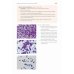 Практическая цитопатология. Интерпретация результатов ТИАБ на основе распознавания паттернов. В 2 т. Т. 2