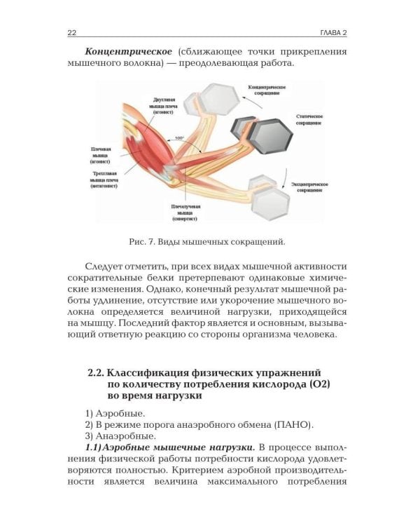 Прикладная физиология мышечной активности в контексте профилактики, лечения и реабилитации