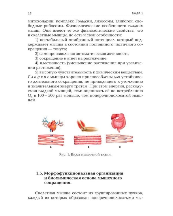 Прикладная физиология мышечной активности в контексте профилактики, лечения и реабилитации